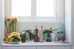 אקס חמותי החורגת