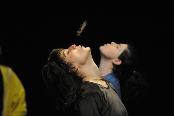 נאוה פרנקל - נאוה