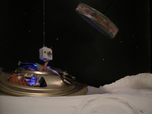 צבי סהר - 3037055_orig