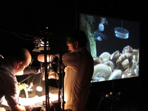 צבי סהר - 669981_orig