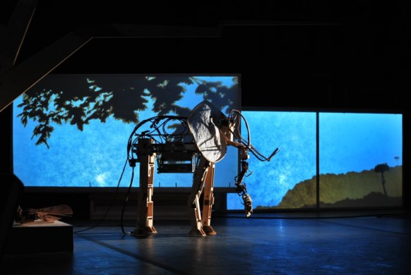 עמית דרורי - dsc_1781