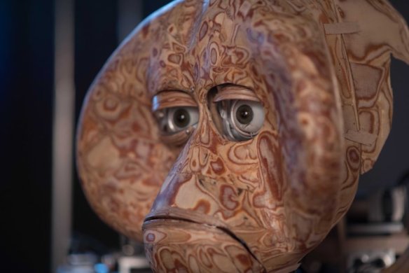 עמית דרורי - dsc_2748_copie_0