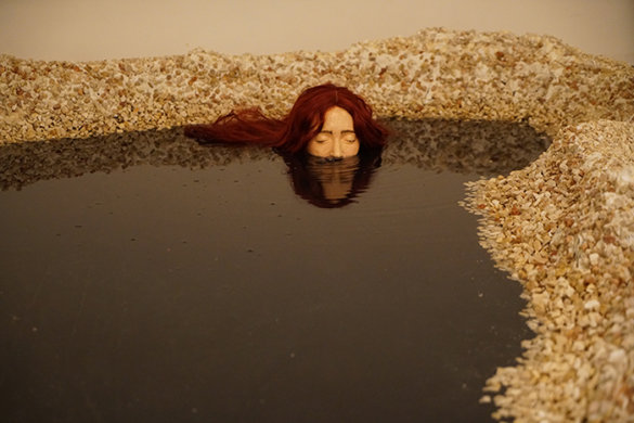 עדי כהנא - לאתר 4