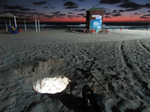 עופר לאופר - 3-1