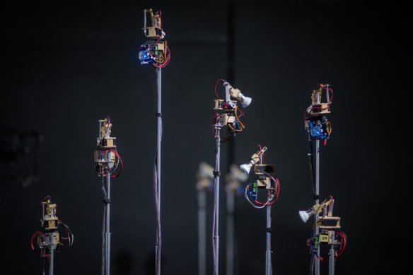 קופים - _4SZ2089ט