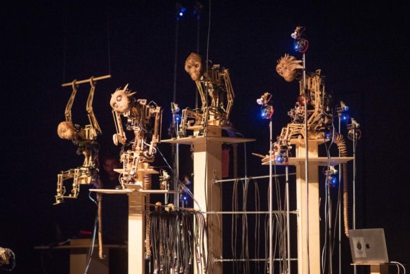 קופים - _4SZ2428ט