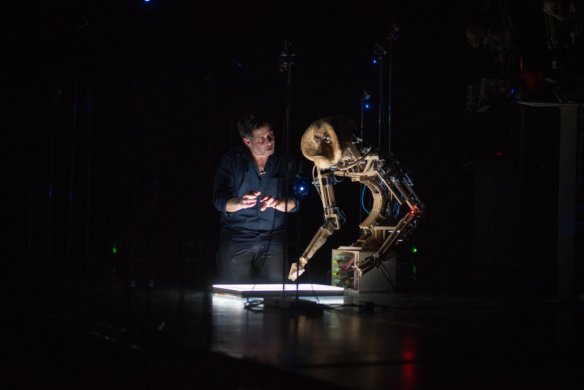 קופים - _4SZ2461ט