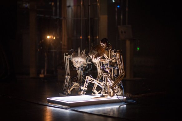 קופים - _4SZ2537ט