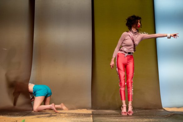 גן הפקאן: עונה 2 - DSC_7815ט