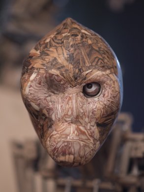 קופים - Monkeys02ט