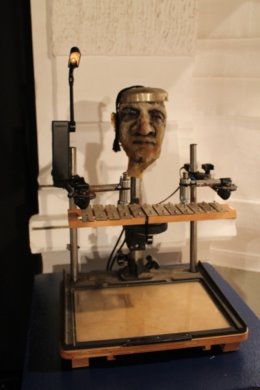 פוג׳ה - Picture14