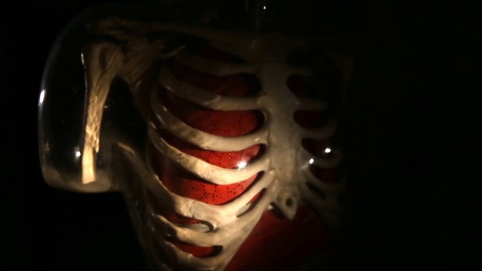 THE OPPOSITE OF ALIVE - hahefech.Still002ט