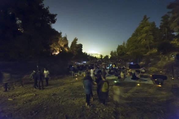 עופר לאופר - hedim-noamchojnowski-83_1250