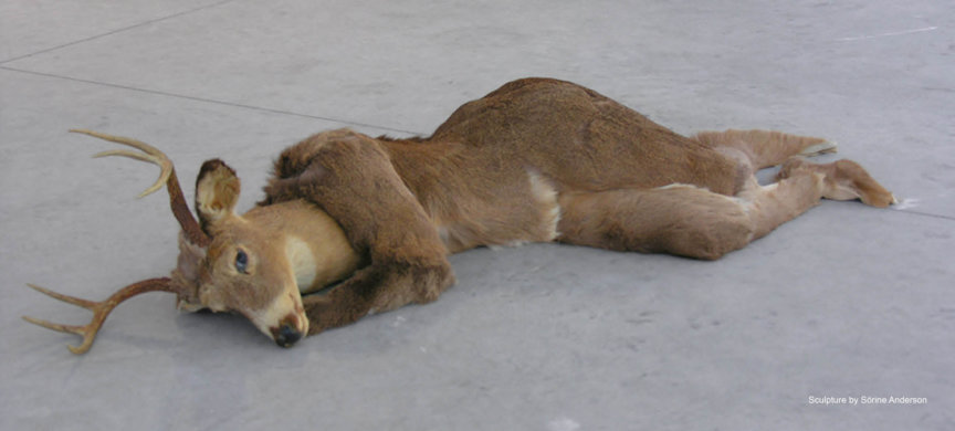 THE OPPOSITE OF ALIVE - ההיפך מחי