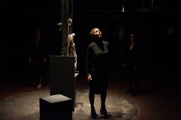 קאירוס - DSC_2195