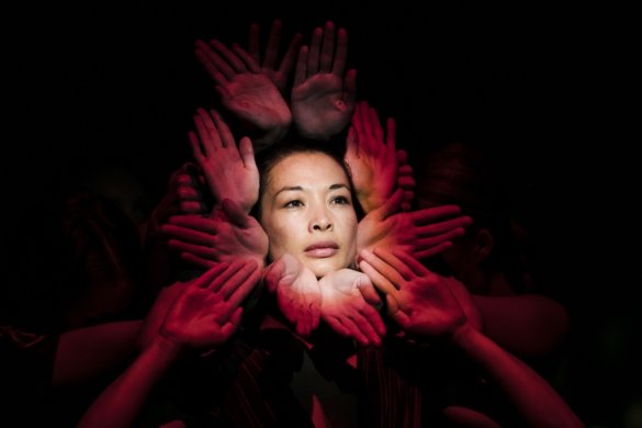 עומר שיזף - Kult-Gotenborgopera