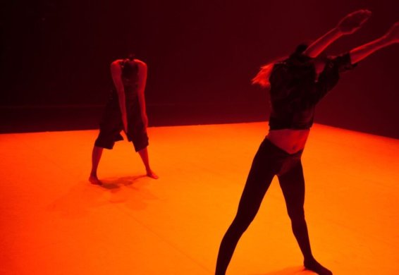 עומר שיזף - inviterobybosmatnossan