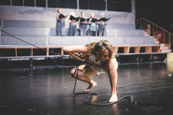 כלבה טובה ירושלים - KalbaTova_33