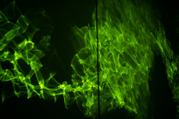 אקו Echo - Gili-07821