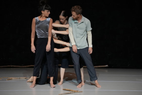 סף יער - DSC02692