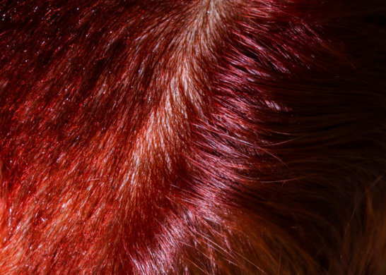 Change the Process –           Change the Outcome - Main