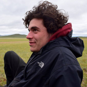 אריאל סרני בראון