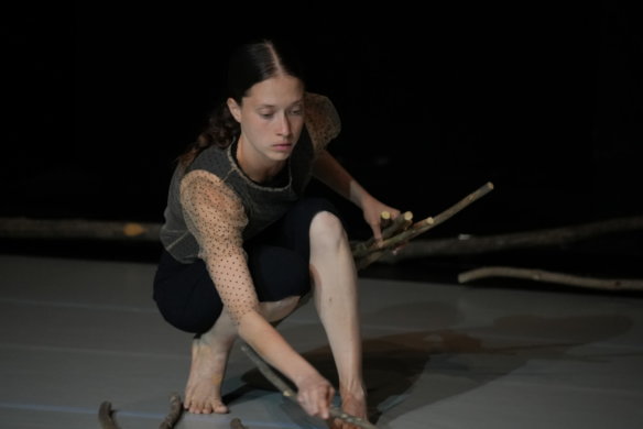 Forest Threshold - DSC02446