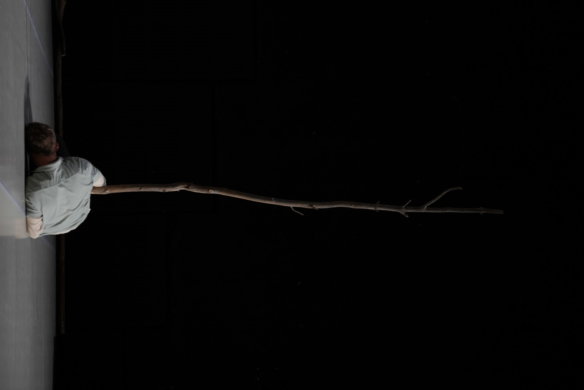 Forest Threshold - DSC02804