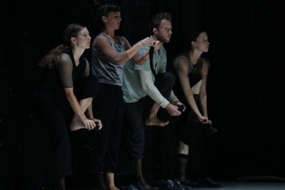 Forest Threshold - DSC02857