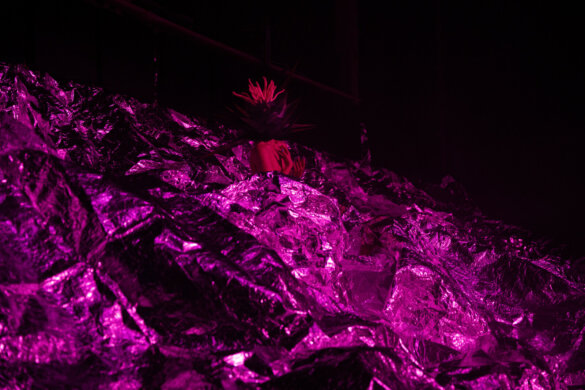 2 RETREATMENT – לפני ולפנים - DSC01960